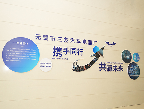 Autoelektrikfabrik Wuxi Sanyou