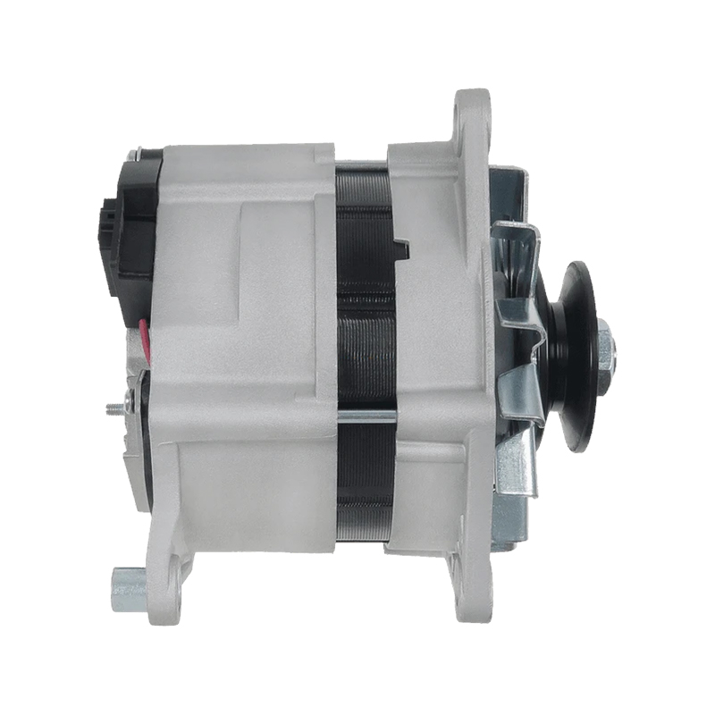 MG348, 3661191M91, 3698016M91 12V, 65A, 1PK, 65mm ISKRA / LETRIKA Lichtmaschinen für AUSTIN MAESTRO Fastback (XC), FORD GRANADA Turnier (GNU), LANDINI REX